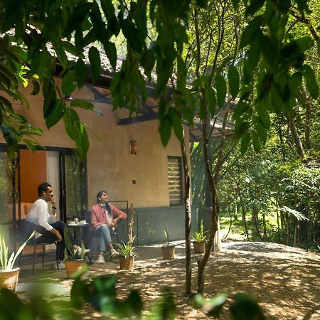 Klov Resort & Spa วายานาด ภายนอก รูปภาพ