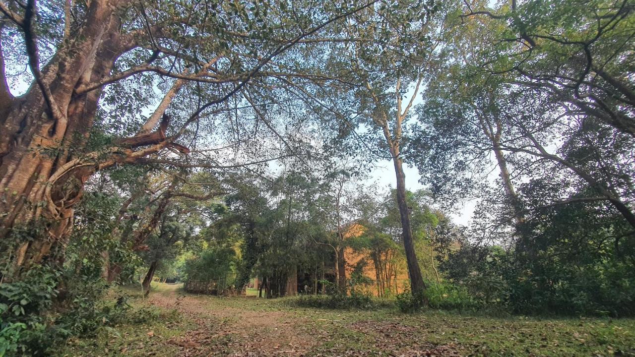 Klov Resort & Spa วายานาด ภายนอก รูปภาพ
