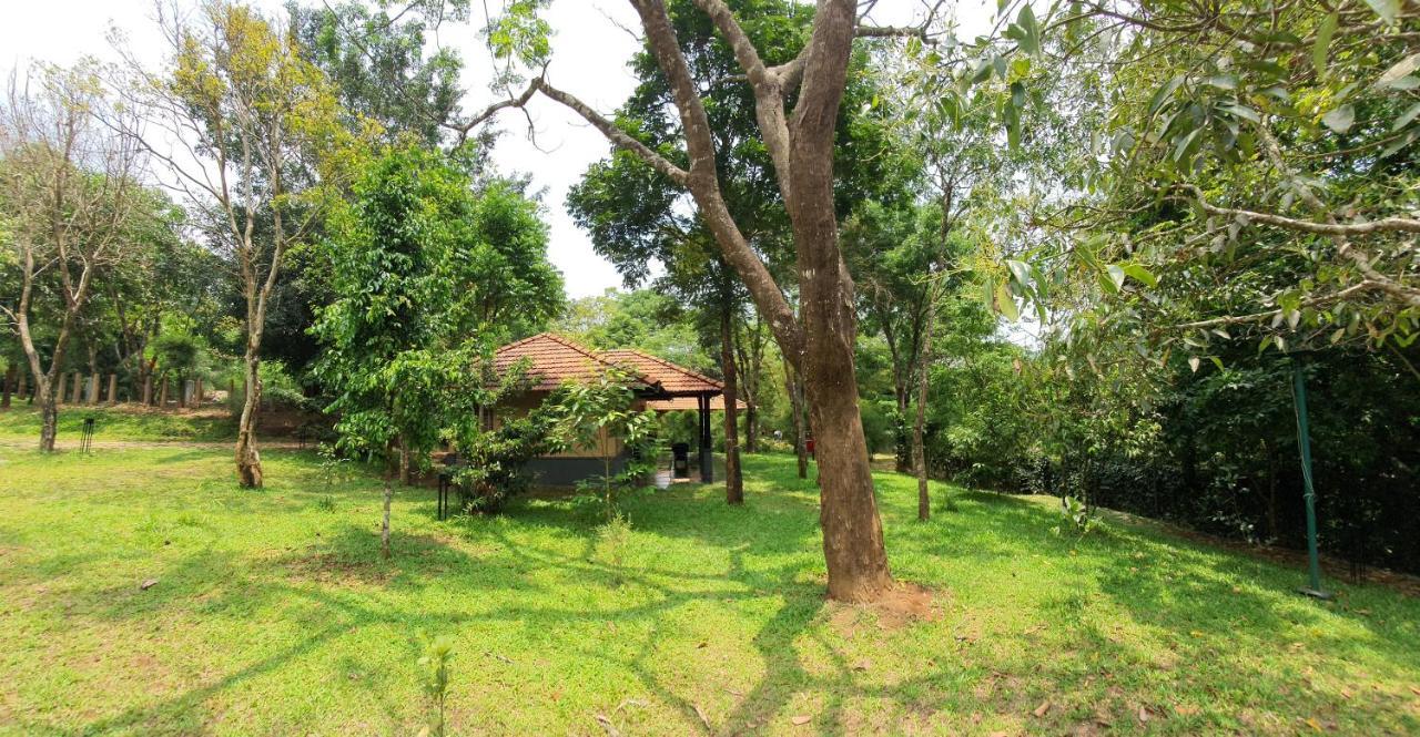 Klov Resort & Spa วายานาด ภายนอก รูปภาพ